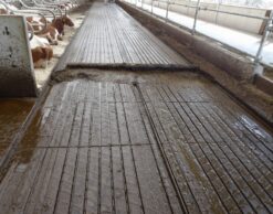 Mestschuiftouw-touw-stallen-mestschuif-